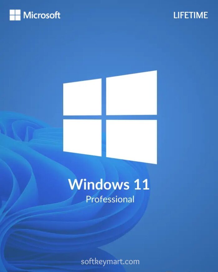 Microsoft Windows 11 Pro