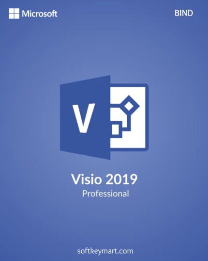 Microsoft Visio 2019 Professional Bind Key